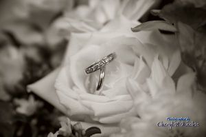 Carolyn's Beautiful rings